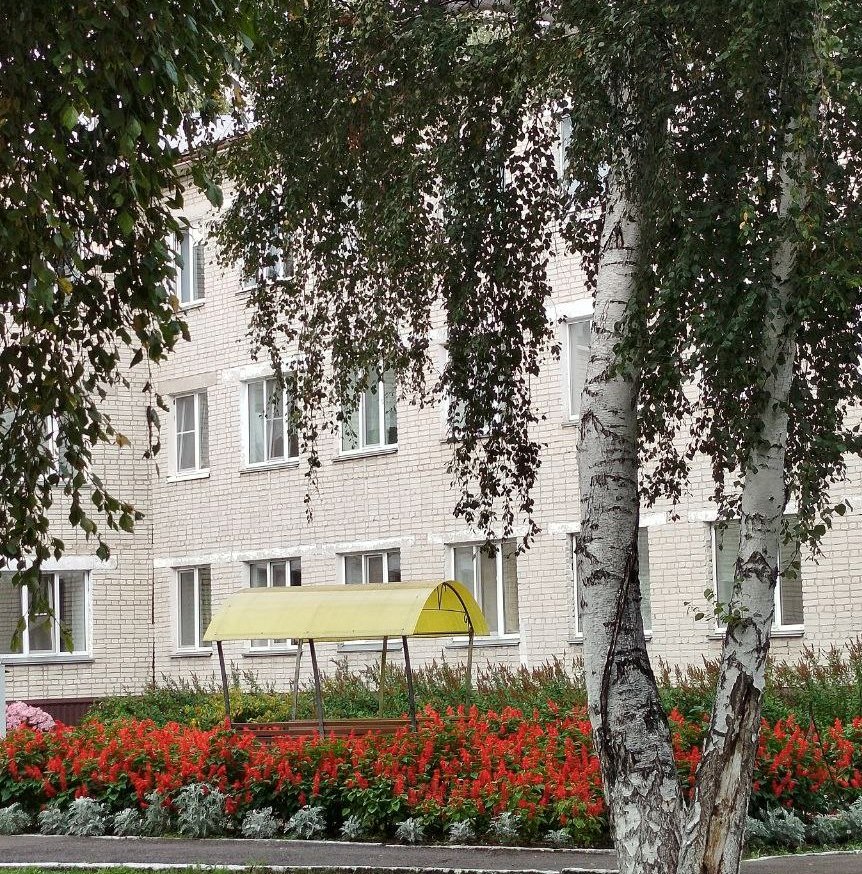 Призовое место в конкурсе «Шадринские дворики»